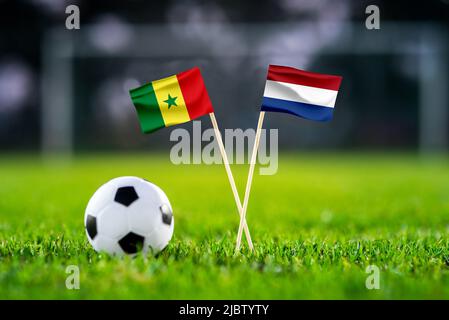 Senegal vs. Niederlande, Al Thumama, Fußballtapete, handgemachte Nationalflaggen und Fußball auf grünem Gras. Fußballstadion im Hintergrund. Stockfoto