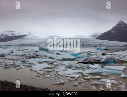 Eisschollen schwimmen in der Fjallsarlon Gletscherlagune Island Stockfoto