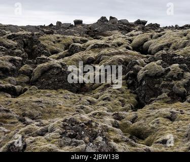 Eldhraun Lavafeld bedeckt mit Moos Island Stockfoto