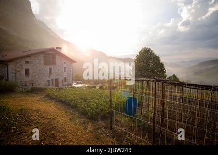 Typisches Bauernhaus in der ländlichen Gegend des Atxondo-Tals, mit Bohnen- und Kartoffelpflanzen im Gemüsegarten. Sonnenlicht bei Sonnenuntergang nach einem regnerischen Tag. Stockfoto