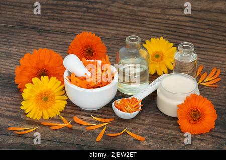 Zubereitung von Calendula Salbe mit Blumen für natürliche Hautpflegemittel. Heilt Wunden, Akne, Ekzeme, stimuliert Kollagen, ist antiseptisch. Stockfoto