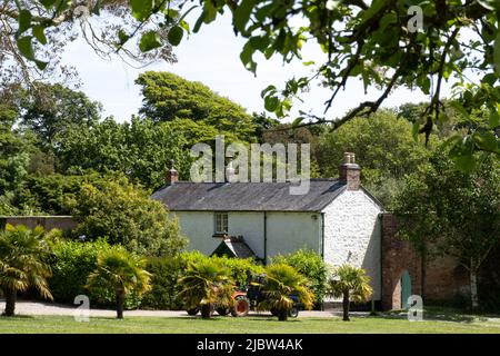 Alte weiße Gärtner Cottage umgeben von viel Grün als Teil der riesigen ummauerten Obstgärten und Gemüsegärten von Trengwainton House and Gardens Stockfoto