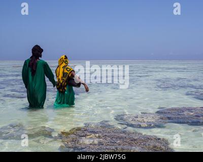 Matemwe, Sansibar - Januar 2021: Frauen in grünen Kleidern und Kopftüchern sammeln Muscheln, während der Ozean ausfließt. Das tägliche Leben der Einheimischen. Tanza Stockfoto