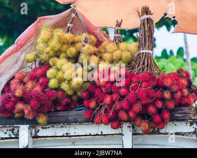 Die Früchte des Rambutanbaums (Nephelium lappaceum) sind ein mittelgroßer tropischer Baum aus der Familie der Sapindaceae. Andere kennen Namen: Lychee, longan, purasa Stockfoto