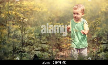 Ein kleiner Junge fängt einen Schmetterling unter großen Gartenpflanzen, Ein kleiner Junge fängt einen Schmetterling unter großen Gartenpflanzen Stockfoto