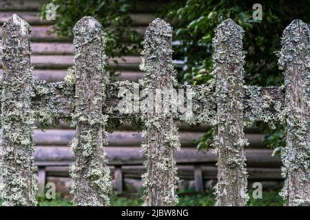 Fragment eines alten Holzzauns, der mit Moos und Flechten überwuchert ist. Stockfoto