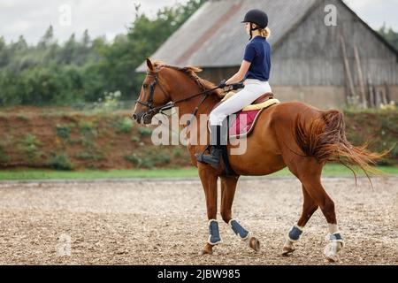 Eine junge Frau in einem blauen Hemd und einer weißen Hose mit einem schwarzen Helm reitet auf einem Kirschpferd in einem Dorfgestüt. Stockfoto