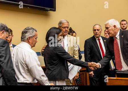 Washington, USA. 08.. Juni 2022. Die konservative Aktivistin Lucretia Hughes spricht während der Anhörung des Repräsentantenhauses über Waffengewalt am 8. Juni 2022 in Washington, DC (Foto von Jason Andrew/Pool/Sipa USA) Quelle: SIPA USA/Alamy Live News Stockfoto