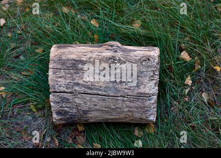 Ein geschnittenes Holz auf dem Gras.Vorderansicht, trockene Herbstblätter, Textur, Risse, Stockfoto