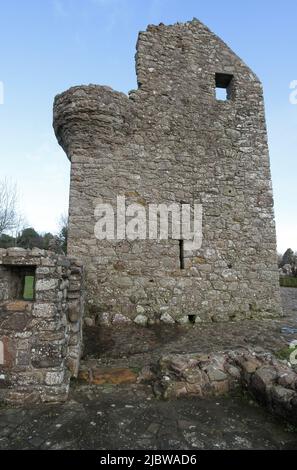 Tully Castle, Lough Erne, County Fermanagh, Nordirland Stockfoto