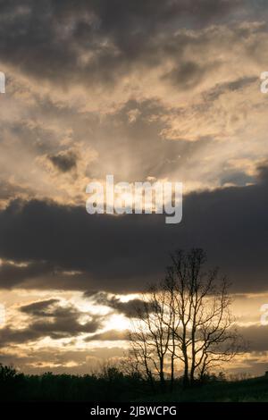 Sonnenuntergang in den nordspanischen Feldern mit einigen Bäumen Stockfoto