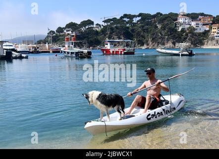 Mann und sein Border Collie Hund auf dem Kanu-Kajak in llafranc Spanien Stockfoto