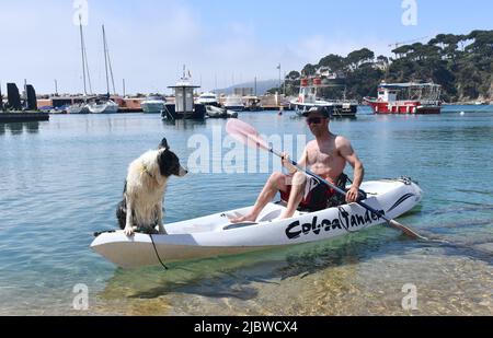 Mann und sein Border Collie Hund auf dem Kanu-Kajak in llafranc Spanien Stockfoto