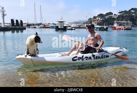 Mann und sein Border Collie Hund auf dem Kanu-Kajak in llafranc Spanien Stockfoto