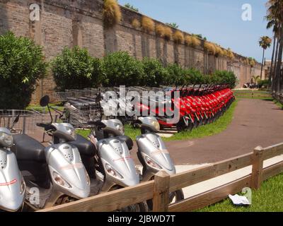 Roller standen auf dem Parkplatz der Royal Navy Dockyard auf der Insel Bermuda an. Die Motorroller warten auf die Vermietung von Touristen für Ausflüge rund um die Insel. Stockfoto