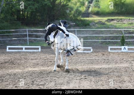 Unbekannte, nicht identifizierte Reiterin fallen von ihrem grauen Pferd, während sie in der Außenarena reitet. Pferdesport Hintergrund. Stockfoto