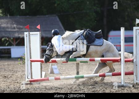 Unbekannte, nicht identifizierte Reiterin fallen von ihrem grauen Pferd, während sie in der Außenarena reitet. Pferdesport Hintergrund. Stockfoto