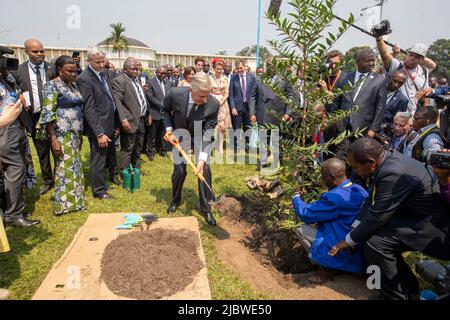 Kongo, 08. Juni 2022. König Philippe - Filip von Belgien, abgebildet während eines Treffens im Palais de la Nation in Kinshasa, während eines offiziellen Besuches des belgischen Königspaares in der Demokratischen Republik Kongo, Mittwoch, 08. Juni 2022. Der belgische König und die belgische Königin werden vom 7.. Bis 13.. Juni Kinshasa, Lubumbashi und Bukavu besuchen. BELGA FOTO NICOLAS MAETERLINCK Stockfoto