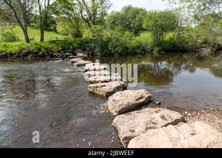 Trittsteine über den Fluss Ure Stockfoto