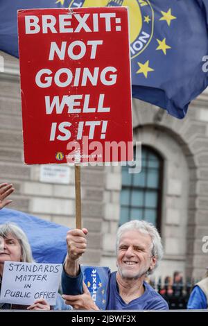 Downing Street, London, Großbritannien. 08.. Juni 2022. Ein Protestler mit Plakat. Regierungsfeindliche und Brexit-feindliche Demonstranten um den 'Stop Brexit man', den Aktivisten Steve Bray, haben sich heute wieder in Westminster versammelt, um sich zu versammeln. Kredit: Imageplotter/Alamy Live Nachrichten Stockfoto
