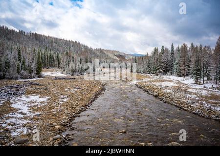 Das nicht gefrorene Bett eines wunderschönen, gewundenen Flusses Chibit, der durch ein schneebedecktes Tal fließt, umgeben von Bergen des Altai, Sibiriens und Russlands. Stockfoto