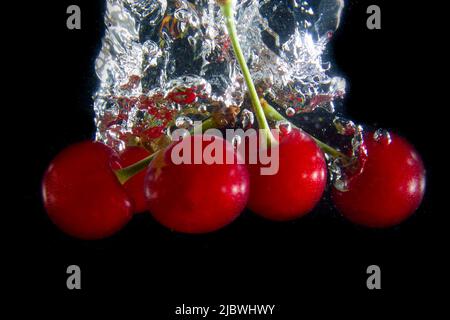 Reife Kirschen fallen ins Wasser, wodurch Spritzer und Luftblasen entstehen Stockfoto