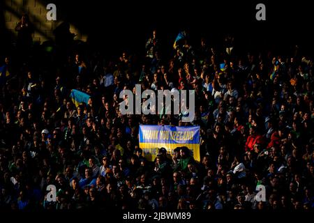 Ein Banner in der Menge, das den Menschen in der Ukraine während des Spiels der UEFA Nations League im Aviva Stadium in Dublin, Irland, dankte. Bilddatum: Mittwoch, 8. Juni 2022. Stockfoto