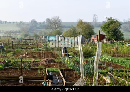 Zuteilungen im Dorf Hook Norton Oxfordshire England großbritannien Stockfoto