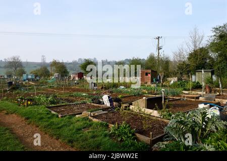 Zuteilungen im Dorf Hook Norton Oxfordshire England großbritannien Stockfoto