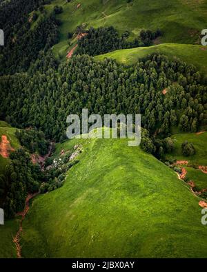 Berggrüner Hang mit seltenen Bäumen Drohnenblick Stockfoto