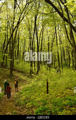 Gruppe von Wanderern auf dem Ice Age National Scenic Trail, angeführt von einem Fremdenführer des Wisconsin Department of Natural Resources, Elkhart Lake, Wisconsin, USA Stockfoto