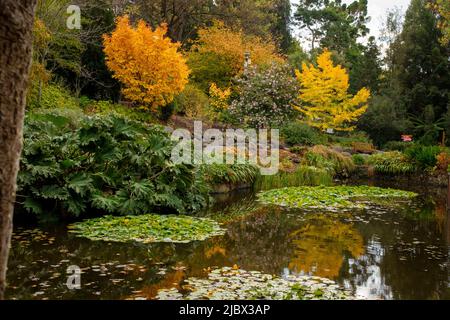 Rund Um Hobart - Royal Tasmanian Botanical Gardens Stockfoto