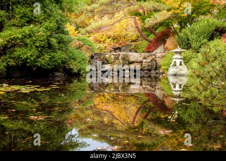 Rund Um Hobart - Royal Tasmanian Botanical Gardens, Japanese Garden Stockfoto