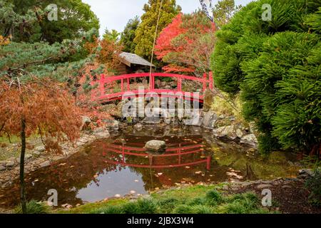 Rund Um Hobart - Royal Tasmanian Botanical Gardens, Japanese Garden Stockfoto