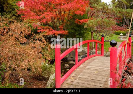 Rund Um Hobart - Royal Tasmanian Botanical Gardens, Japanese Garden Stockfoto