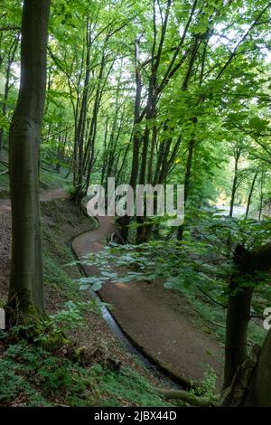 Rheinsteig Wanderweglandschaft im Naturpark Rhein Westerwald in Unkel Stockfoto