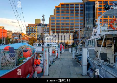 Rund Um Hobart - Constitution Dock Area Stockfoto