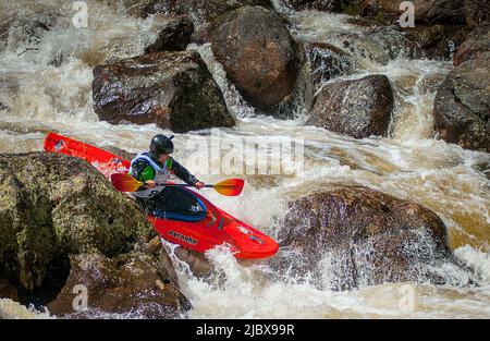 Vail, Col. 08/06/2022, Abenteuersport, Kunst Und Musik. 8.. Juni 2022. Steep Creek Kajakrennen finden auf den extrem technischen Bedingungen des Homestake Creek statt. Die GoPro Mountain Games feiern ihr 20.-jähriges Bestehen und werden von der Vail Valley Foundation veranstaltet. Sie sind die größte Veranstaltung für Abenteuersport, Kunst und Musik in Nordamerika. Vail, Colorado. Kredit: csm/Alamy Live Nachrichten Stockfoto