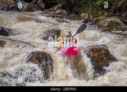 Vail, Col. 08/06/2022, Abenteuersport, Kunst Und Musik. 8.. Juni 2022. Weltmeister Dane Jackson verhandelt die extremen technischen Bedingungen von Homestake Creek auf seinem Weg zur Steep Creek Championship. Die GoPro Mountain Games feiern ihr 20.-jähriges Bestehen und werden von der Vail Valley Foundation veranstaltet. Sie sind die größte Veranstaltung für Abenteuersport, Kunst und Musik in Nordamerika. Vail, Colorado. Kredit: csm/Alamy Live Nachrichten Stockfoto