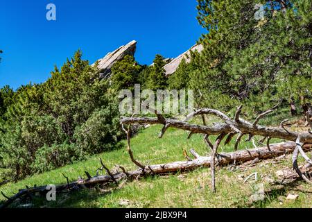 Zweites Flatiron vom Flatirons Trail im Chautauqua Park aus gesehen Stockfoto