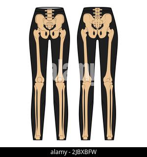 Set Skelett Kostüm menschliche Knochen auf Leggings Hose Vorderansicht Männer Frauen für Halloween, Festivals zum Bedrucken von Kleidung flach schwarz beige Farbe Konzept Vektor-Illustration isoliert Stock Vektor