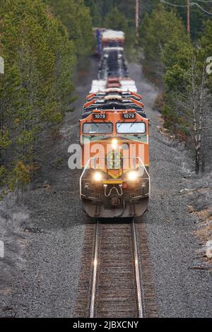 Eine Burlington Northern Santa Fe Lokomotive zieht einen Güterzug mit 100 Autos südwärts in Richtung Kalifornien, von Bend, Oregon durch den Deschutes National Forest. Stockfoto