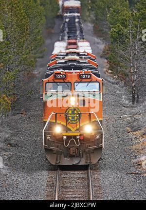 Eine Burlington Northern Santa Fe Lokomotive zieht einen Güterzug mit 100 Autos südwärts in Richtung Kalifornien, von Bend, Oregon durch den Deschutes National Forest. Stockfoto