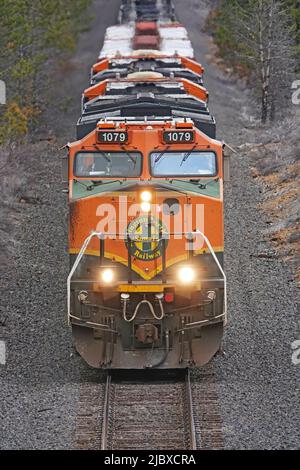 Eine Burlington Northern Santa Fe Lokomotive zieht einen Güterzug mit 100 Autos südwärts in Richtung Kalifornien, von Bend, Oregon durch den Deschutes National Forest. Stockfoto