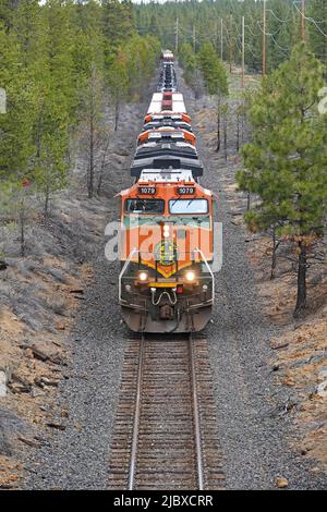 Eine Burlington Northern Santa Fe Lokomotive zieht einen Güterzug mit 100 Autos südwärts in Richtung Kalifornien, von Bend, Oregon durch den Deschutes National Forest. Stockfoto