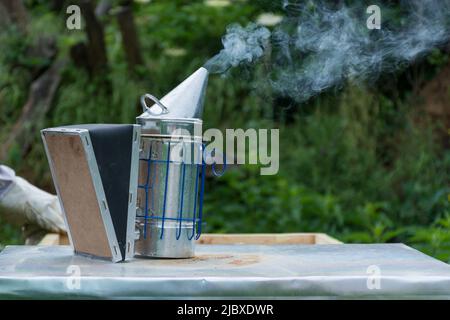 Bienenraucher auf der Oberseite eines Bienenstocks an einem Sommermorgen rauchen. Eine Grundausstattung der Imkerei. Bienenzuchtkonzept. Nahaufnahme, selektiver Fokus Stockfoto