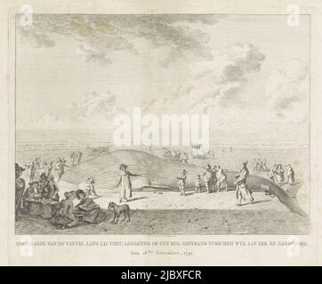 Ein gewöhnlicher Finfisch strandete am 18. November 1791 zwischen Wijk aan Zee und Zandvoort. Finfish stranded near Wijk aan Zee, 1791 Bild des Finfisches, langer LII-Fuß, auf dem Rücken liegend, stranded between Wyk aan Zee and Zandvoort, the 18. of November 1791., Druckerei: Leendert Overbeek, (erwähnt auf Objekt), Leendert Overbeek, (erwähnt auf Objekt), Nordholland, 1792, Papier, Radierung, Gravur, H 290 mm × B 333 mm Stockfoto