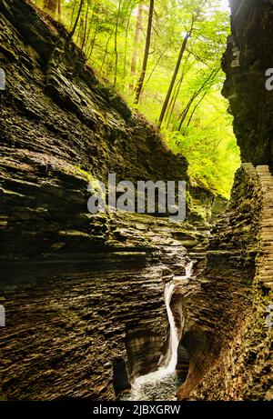 Watkins Glen State Park, New York State, USA Stockfoto