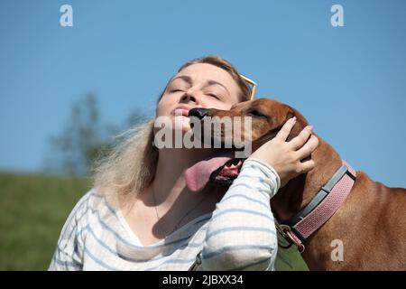 Schöne Frau mit Hund rhodesian ridgeback Hund im Freien auf einem Feld Stockfoto