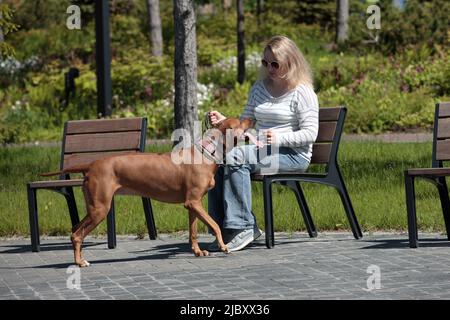 Schöne Frau mit Hund rhodesian ridgeback Hund im Freien auf einem Feld Stockfoto